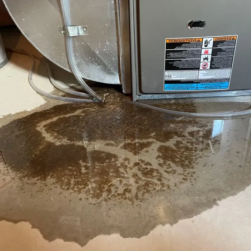 Pipe Burst and Leak Restoration in Bon Air, VA